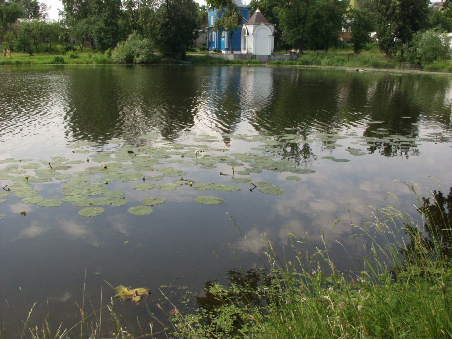 Россия - Дзержинский. Фото №9