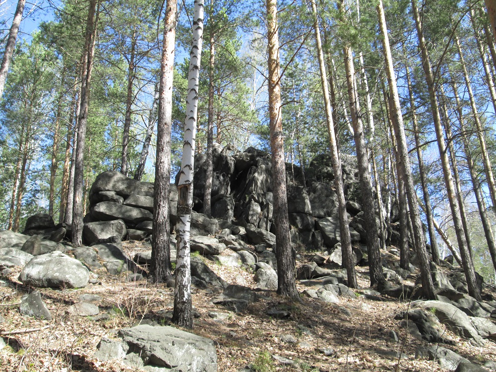 Каменная гора. Каменная гора Бабаево. Заповедник каменная гора Бабаево. Бабаево Вологодская область каменная гора. Каменная гора Бабаево памятник природы.