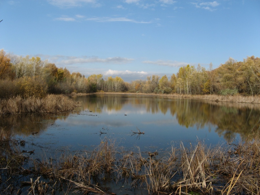 Фото на холсте энгельс