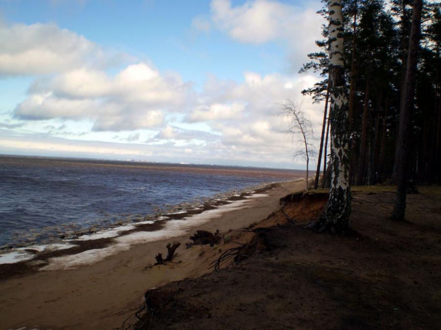 Россия - Финский залив. Фото №2