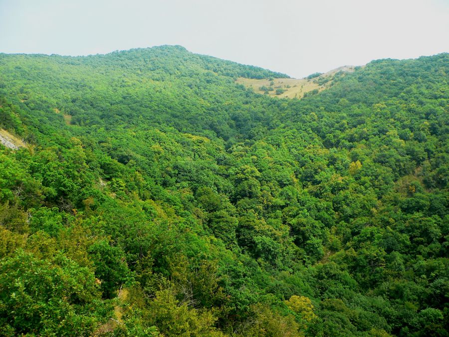 Сафари парк геленджик канатная дорога фото