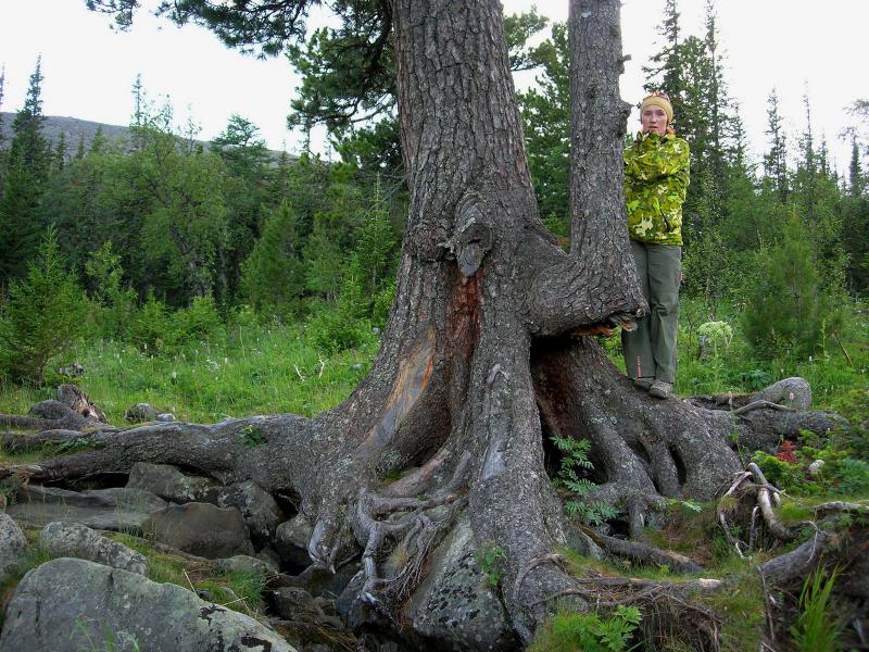 Поляна художников Конжаковский камень