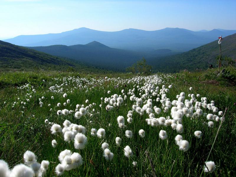 Россия - Гора Конжаковский камень. Фото №10