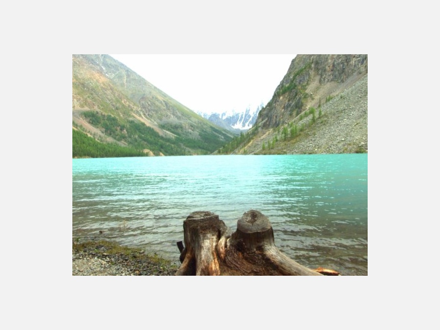 Горно-Алтайск. (Чуйский хребет и Шавлинские озера) Россия - Горно-Алтайск. Фото №15