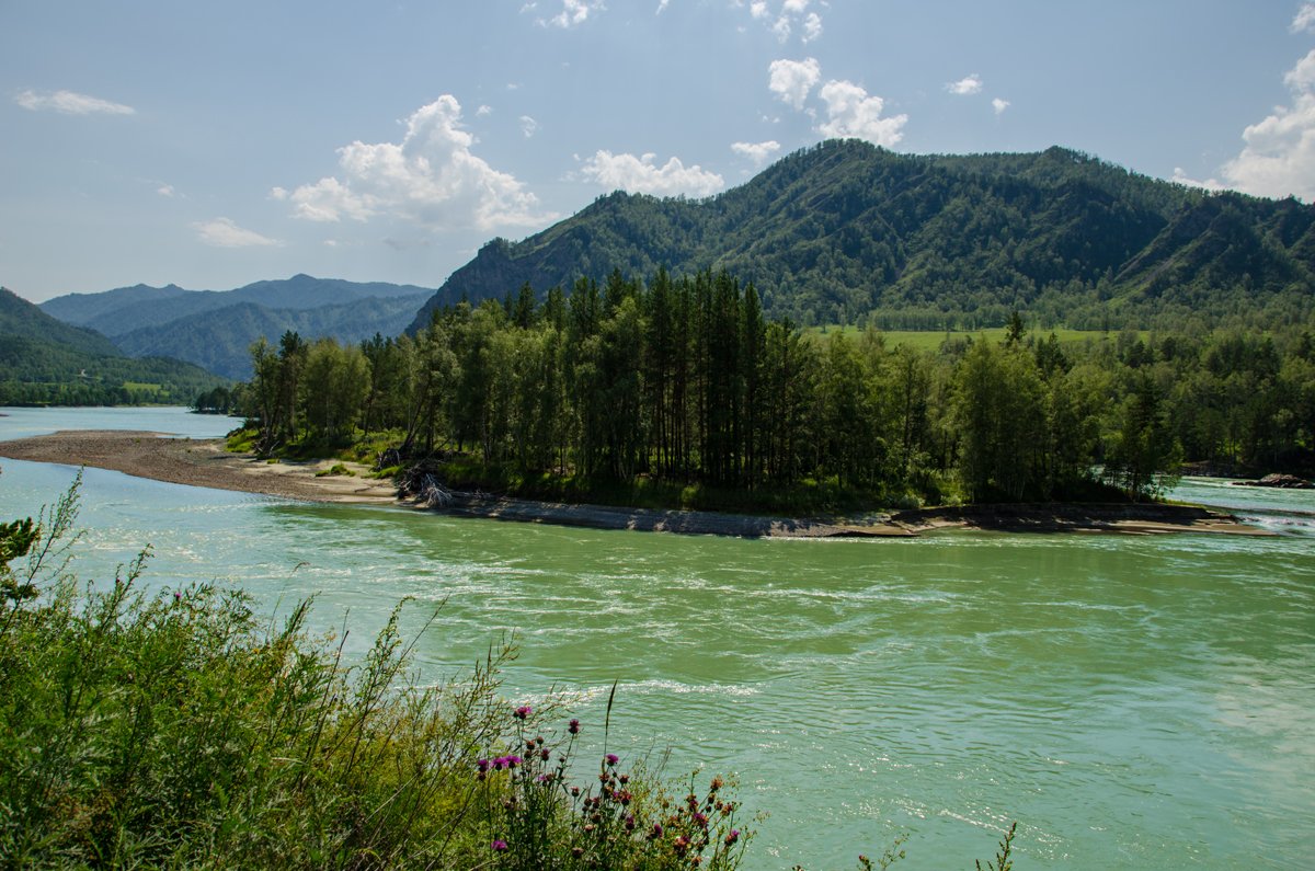 Россия - Горный Алтай. Фото №23