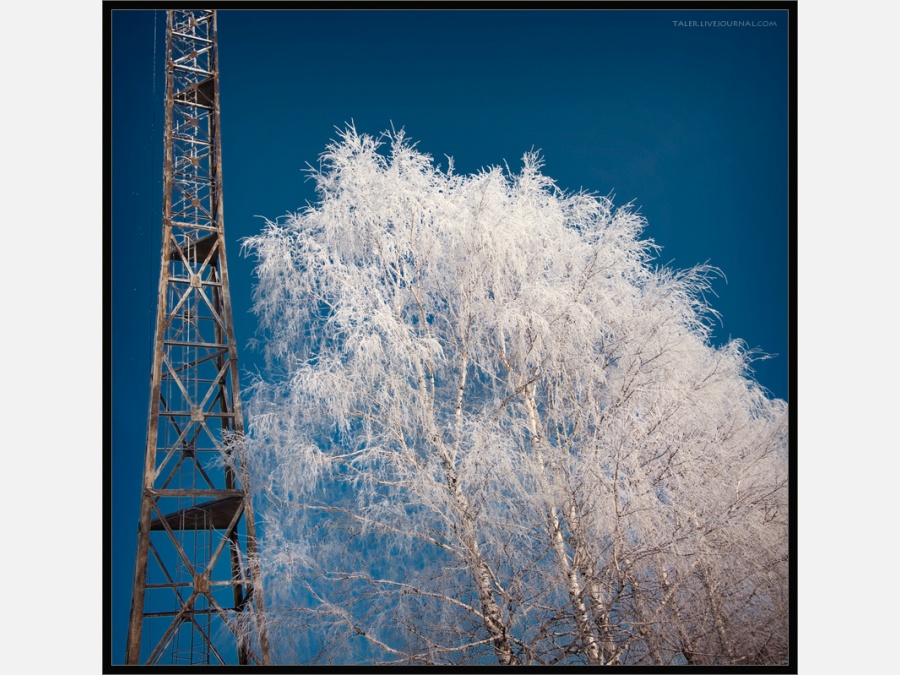 Россия - Гусь-Железный. Фото №2