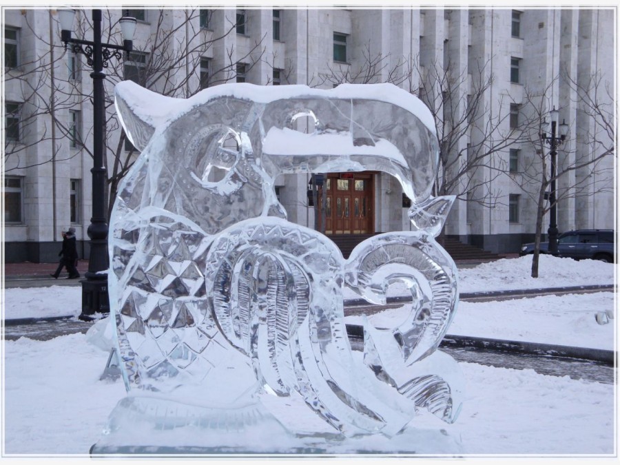 Хабаровская снежинка