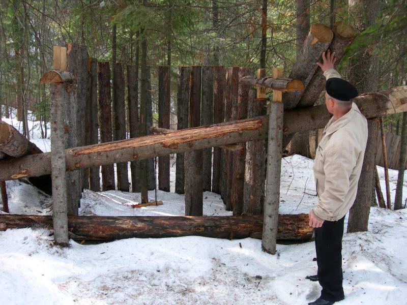 Ловушка на медведя.