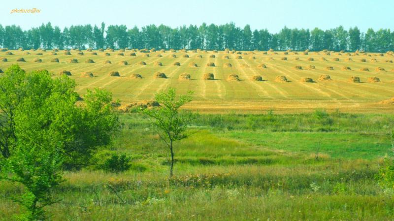 Россия - Хреновое. Фото №18