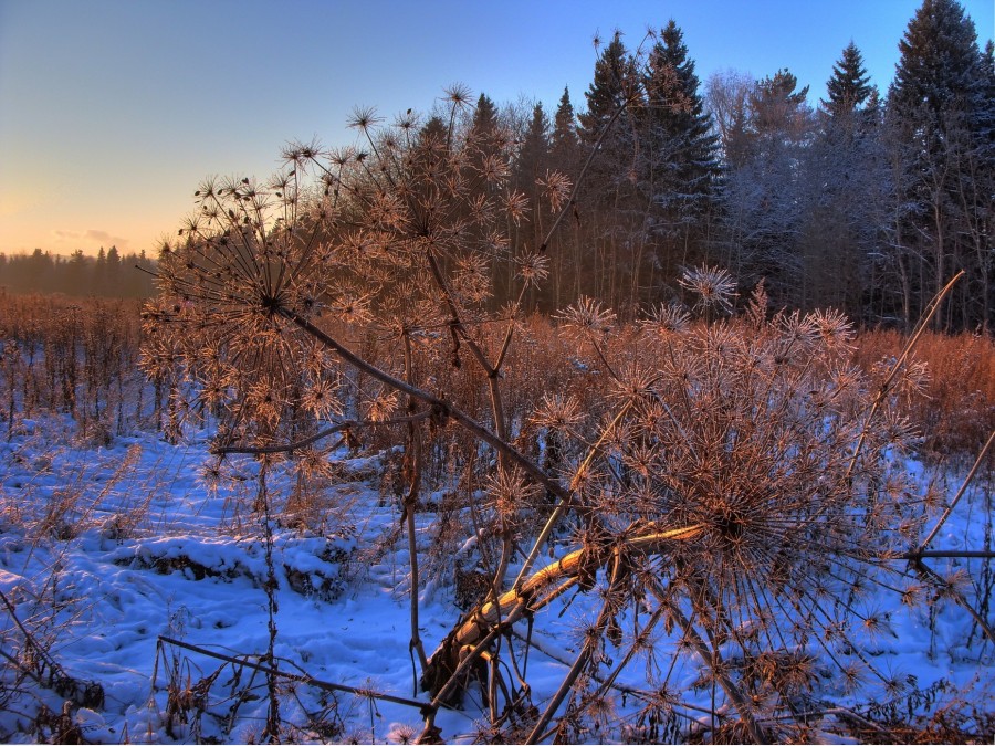 Россия - Ижевск. Фото №22