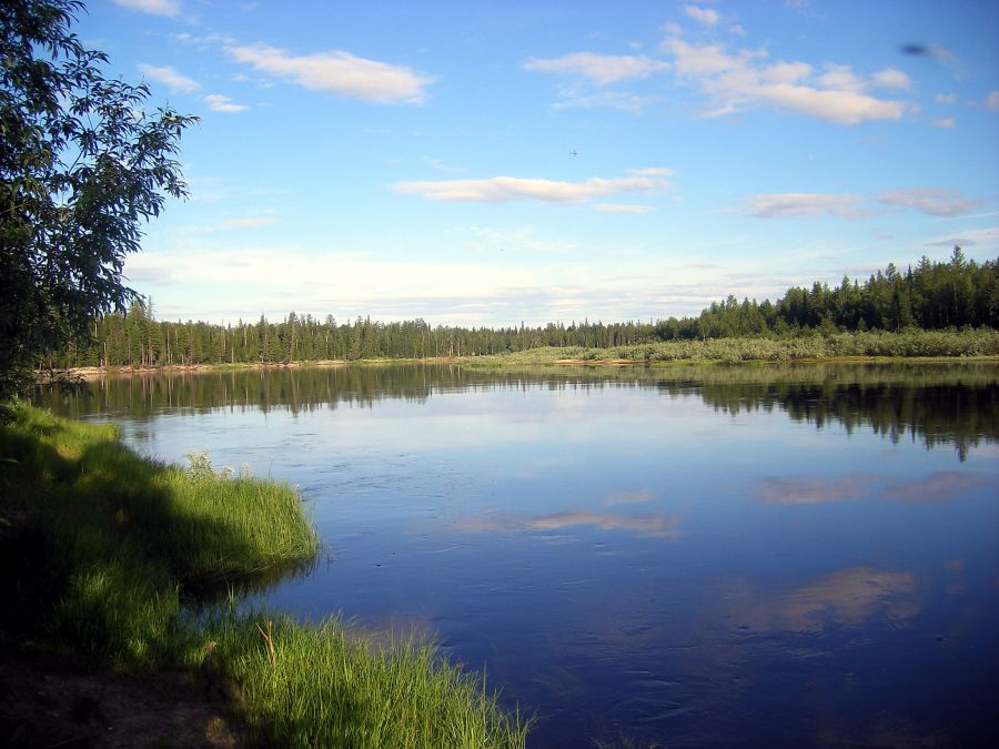 Россия - Ямало-Ненецкий АО. Фото №18