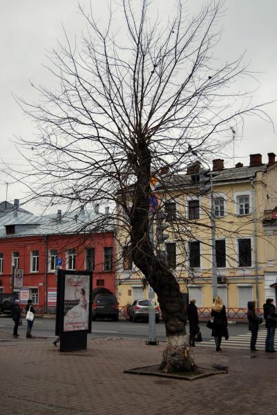 Россия - Ярославль. Фото №11