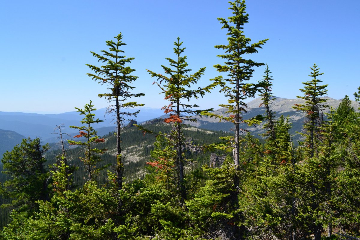 Россия - Каменный город. Фото №2