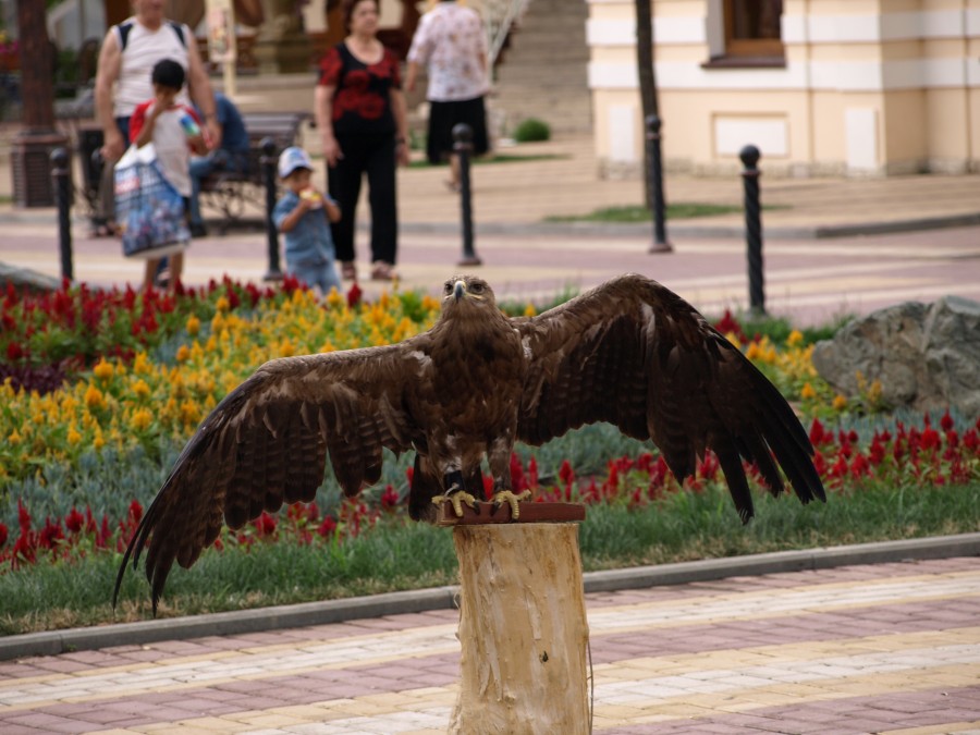 Россия - Кисловодск. Фото №16