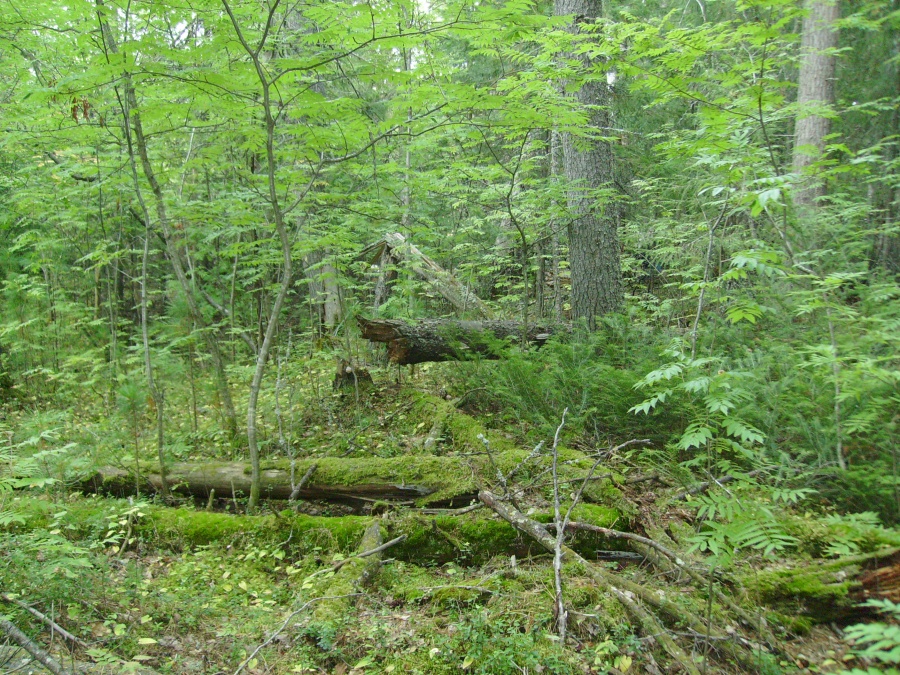 Когалым аквапарк галактика фото