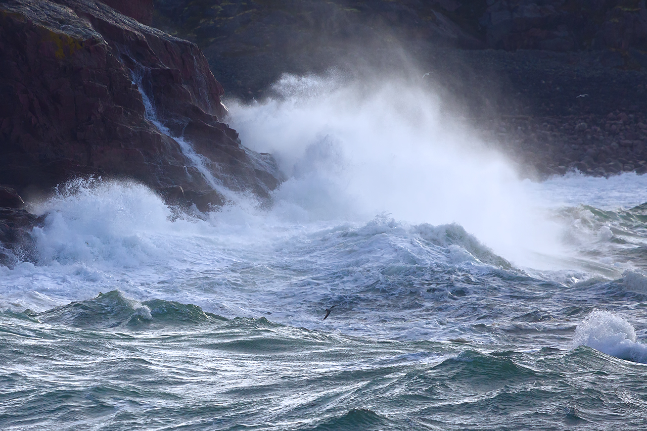 Storm. Баренцево море шторм. Штормовое Баренцево море. Баренцево море ураган. Баренцево море шторм фото.