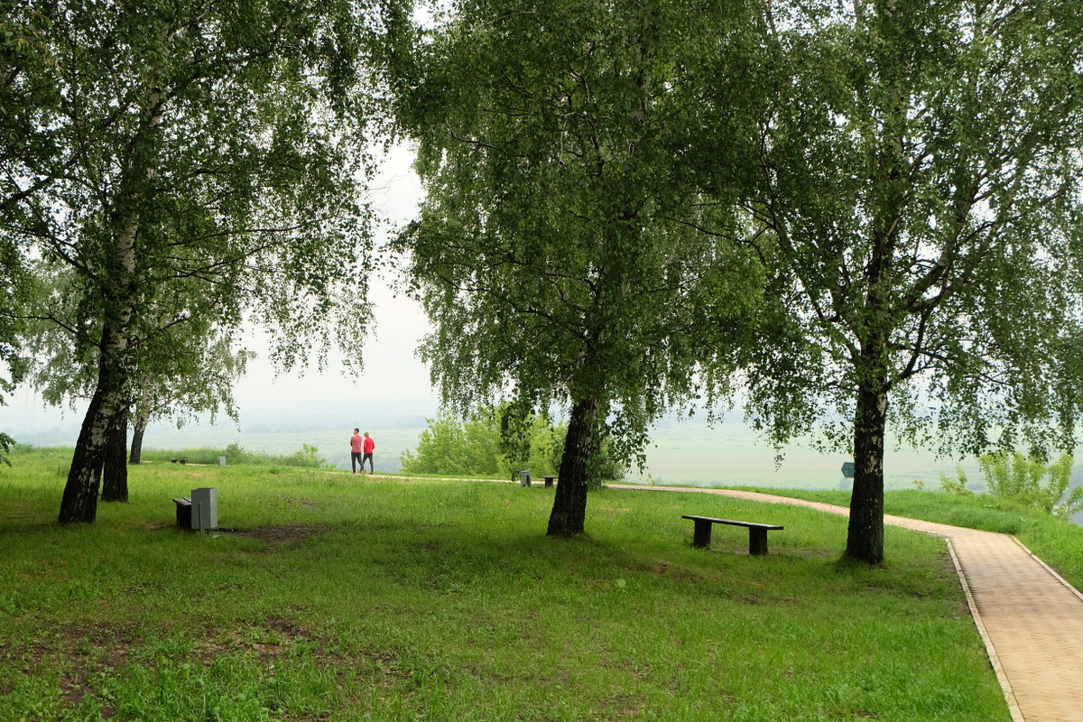 Константиново билеты. Родина Есенина село Константиново. Есенинские места в Рязанской области. Константиново смотровая площадка. Константиново Рыбновский район Есенинские места.