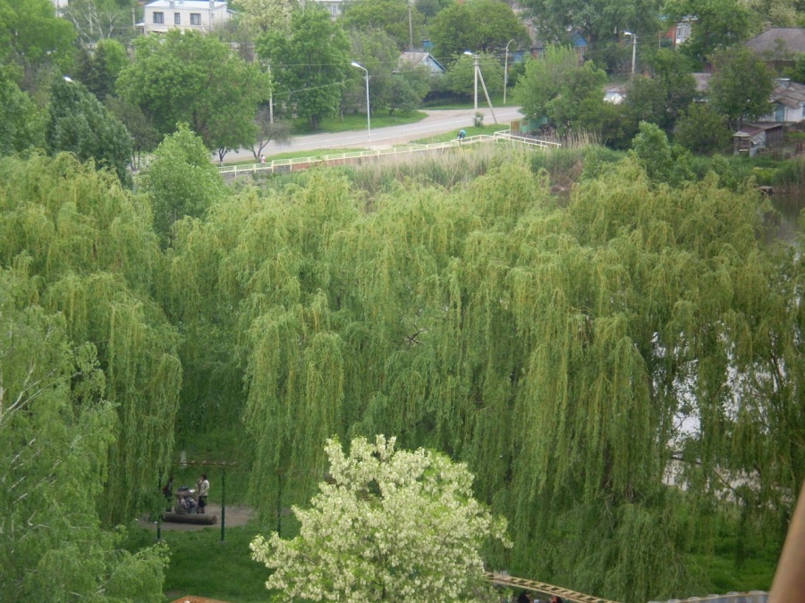 Вода кореновск. Кореновск парк. Парк в Кореновске после реконструкции. Кореновск 2002. Кореновск парк Краснодар.