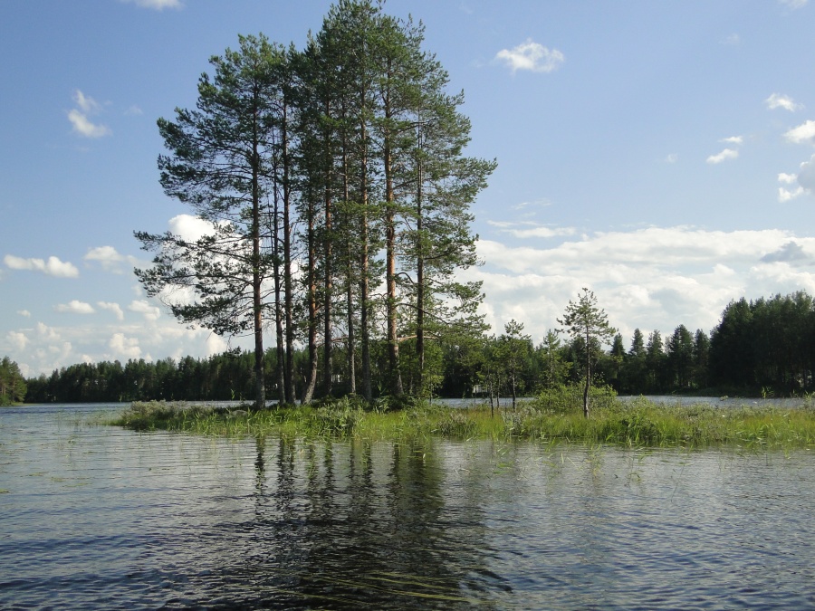 Костомукшский заповедник озеро Каменное