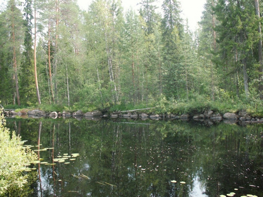 Костомукшский заповедник озеро Каменное