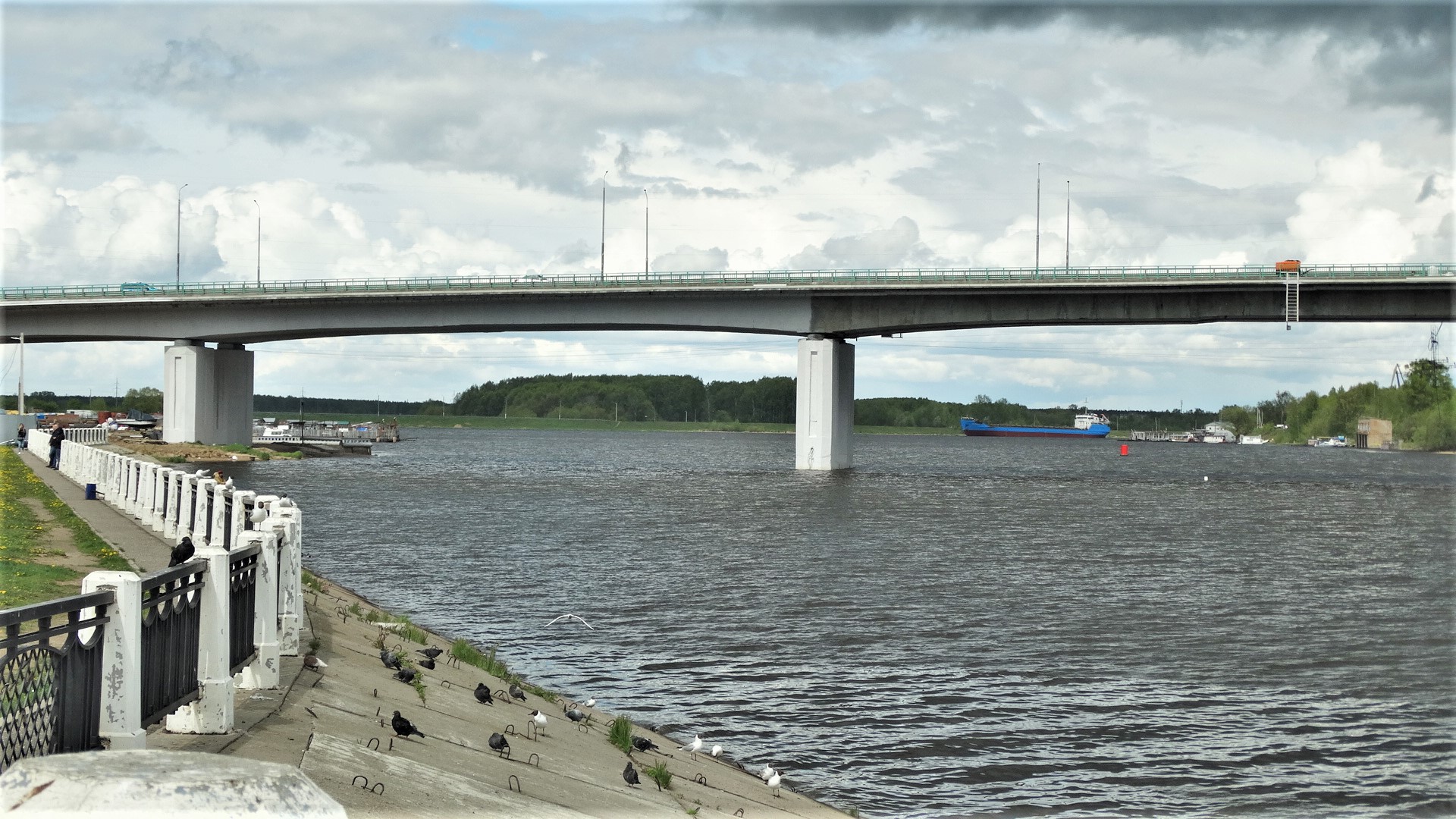 Пагөда на сегодня в костроме. Мост река Кострома. Мост через реку Кострома. Меза река Кострома под мостом. Кострома мост через Волгу.