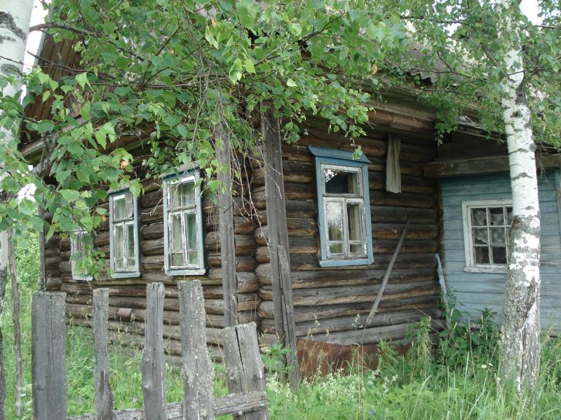 Село костромское. Кострома деревня Коноплюха. Деревня Кострома Свердловская область. Фото деревни Костромы. Деревня дом береза с сережками.