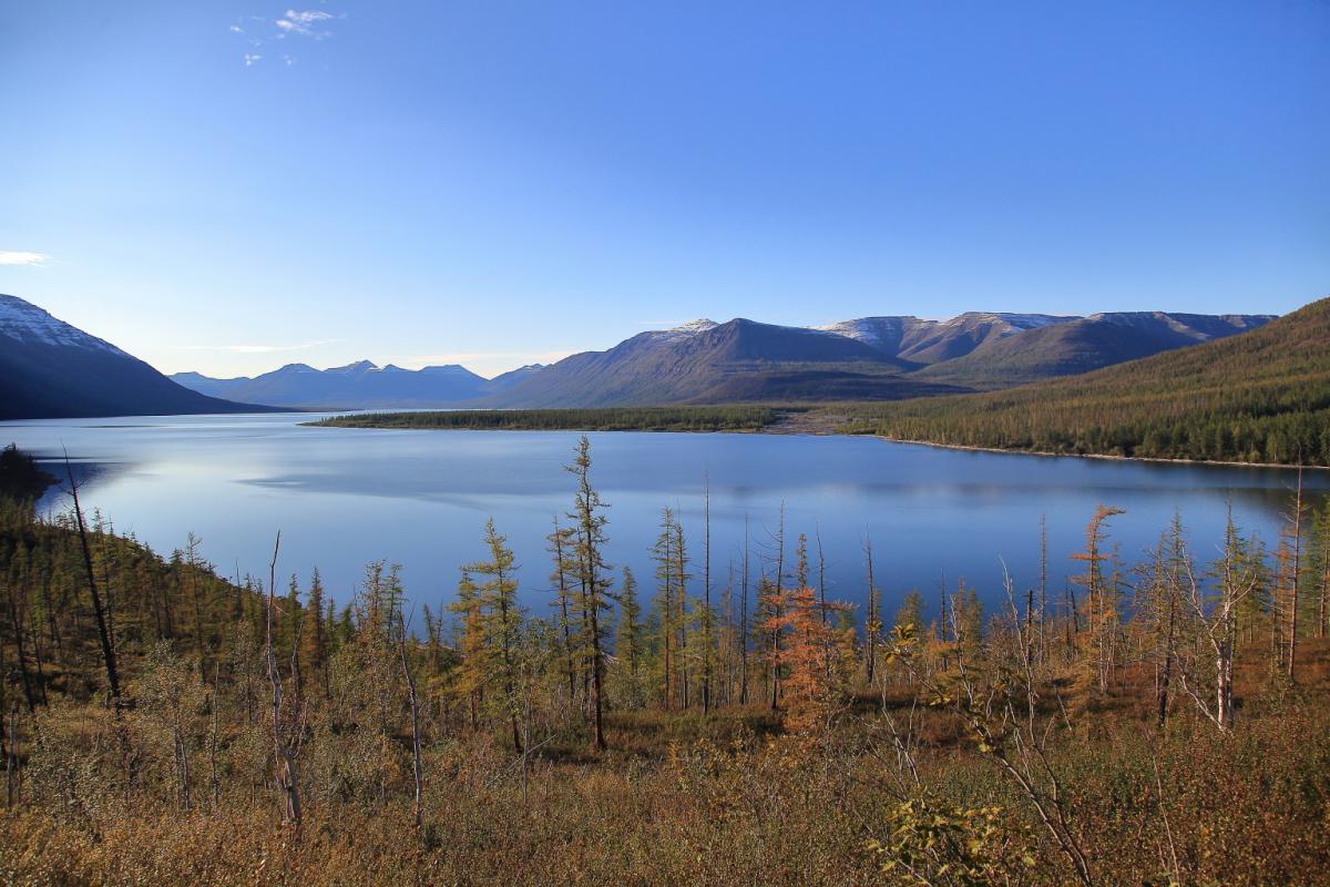 Озеро лама плато Путорана Красноярский край