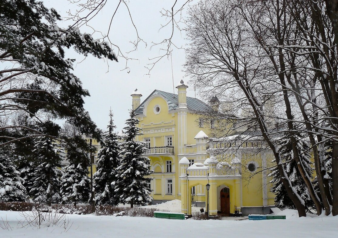 Усадьба курск. Усадьба Нелидовых Курск. Усадьба графа Нелидова Курск. Усадьба Нелидовых в Мокве Курск. Усадьба Грава Нелидова курс.