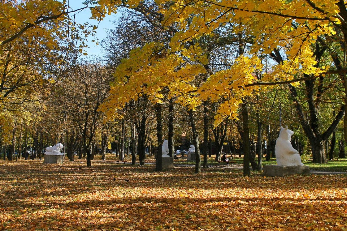 Россия - Курск. Фото №28