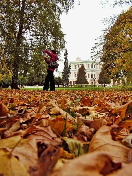 Россия - Курская область. Фото №10