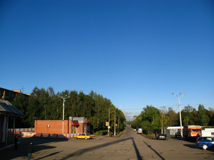 Львовский московская область. Львовский поселок Московская область. Подольск пос Львовский. Пгт Львовский Подольский район. Ниненко посёлок Львовский.