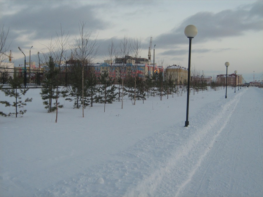 Погода лангепас. Природу города Лангепас. Лангепас 2008. Лангепас парк зимой. Лангепас природа.