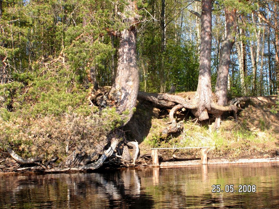 Россия - Ленинградская область. Фото №5