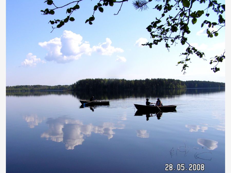 Россия - Ленинградская область. Фото №15