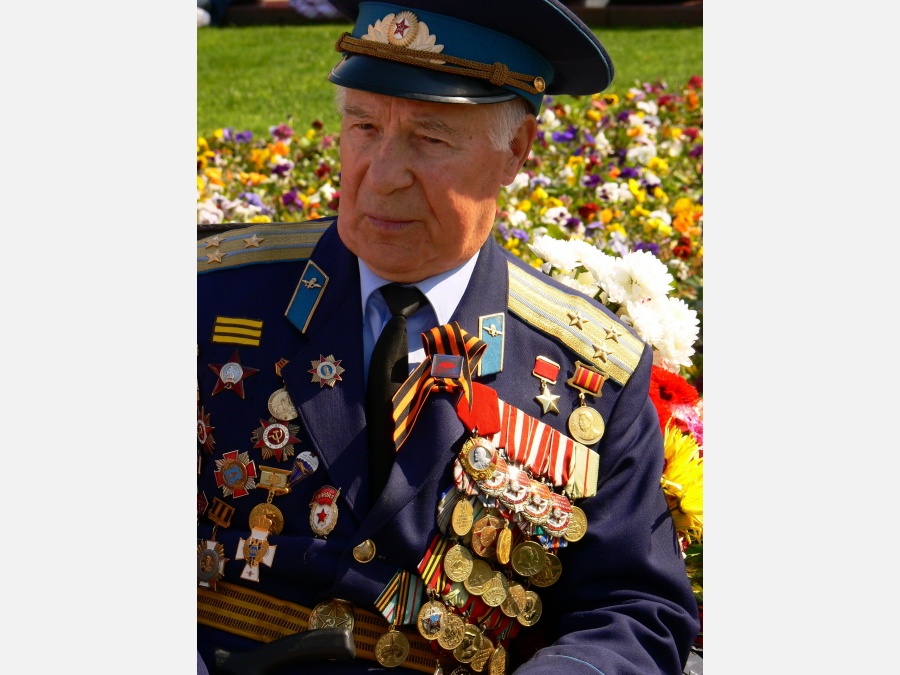 Сколько осталось ветеранов в москве