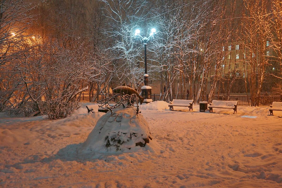 Дюк кормилица фото взрослого дерева