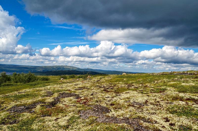 Сопки в мурманске фото