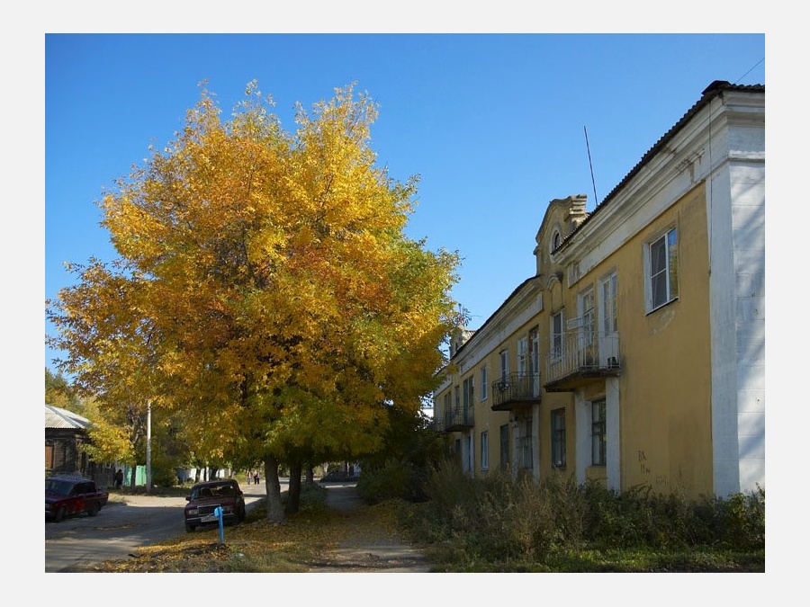 Муромский лес белгород фото