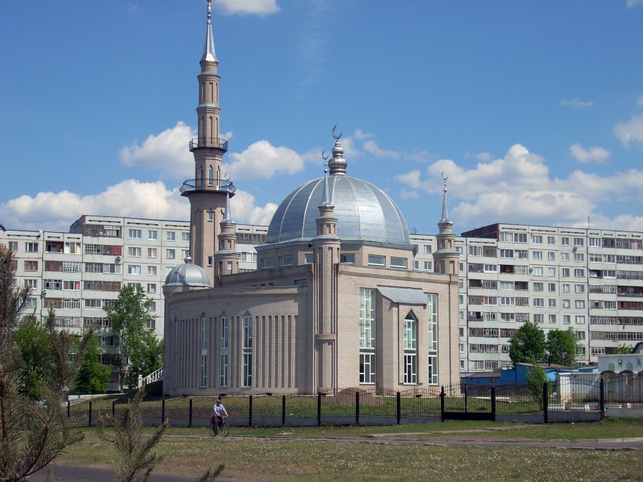 Виды города Набережные Челны. Летов 2009 года (20 фото  Набережные Челны, Россия)  ФотоТерра