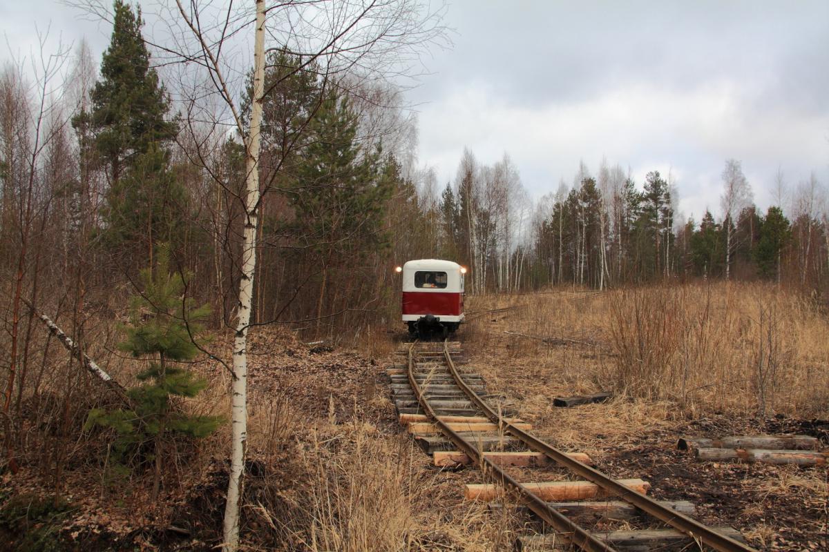 Россия - Новгородская область. Фото №15