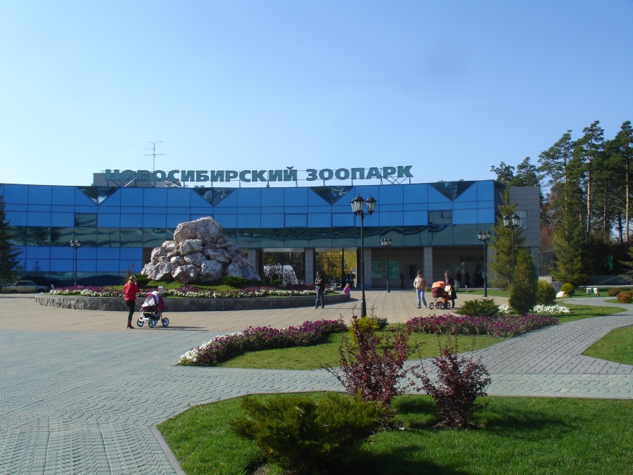 Новосибирск - Фото №1
