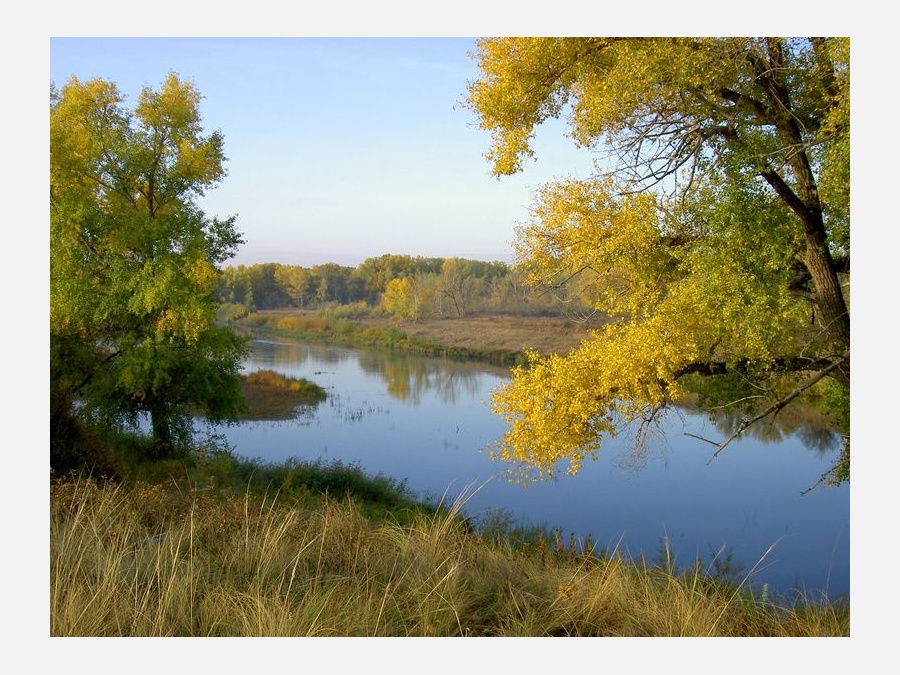 Река Урал Фото В Оренбургской Области