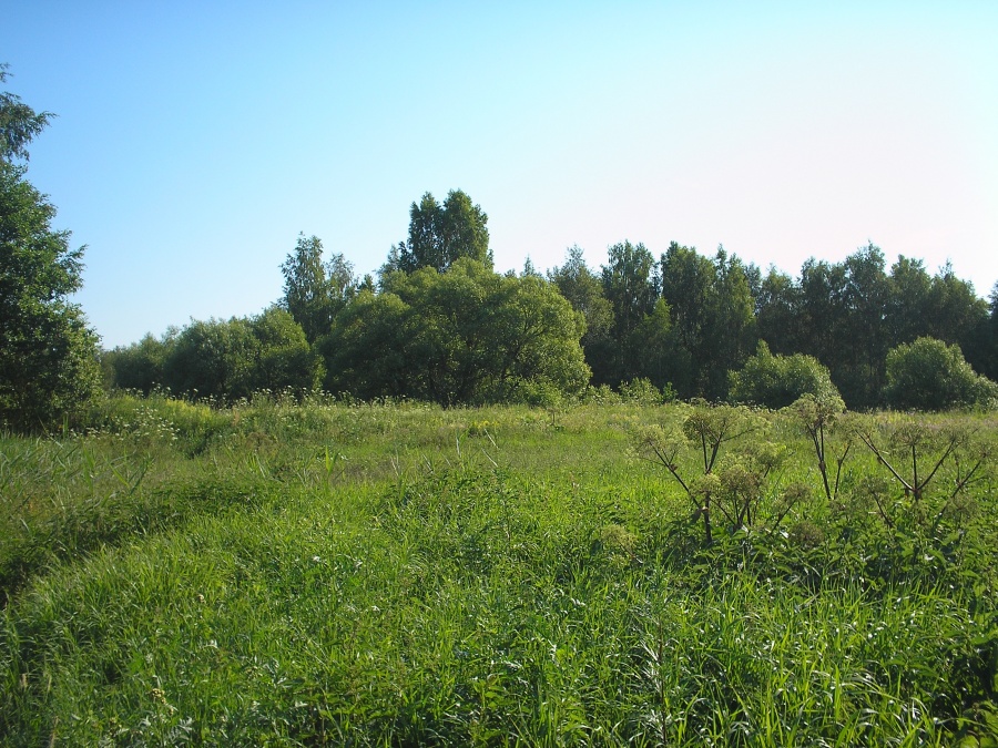 Россия - Павловский Посад. Фото №11