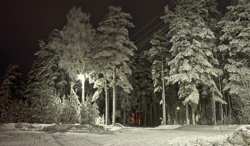 Хвойная пестово. Город Пестово Новгородская область. Пестово зима.