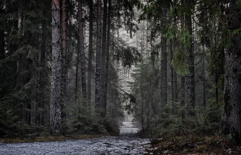 Россия - Пестово. Фото №18