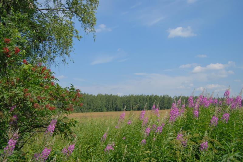 Май в подмосковье фото