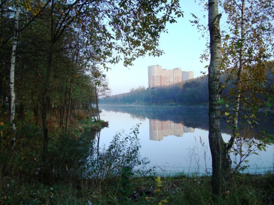 Г пушкин московской обл фото города