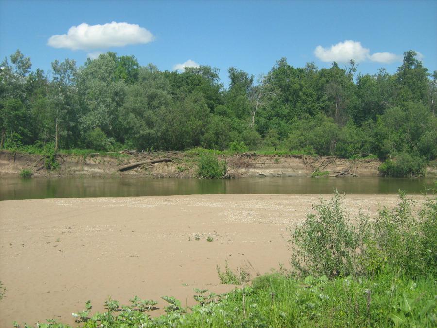 Река Дёма - Фото №2