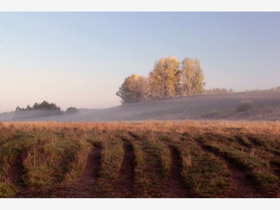 Исток реки оки фото