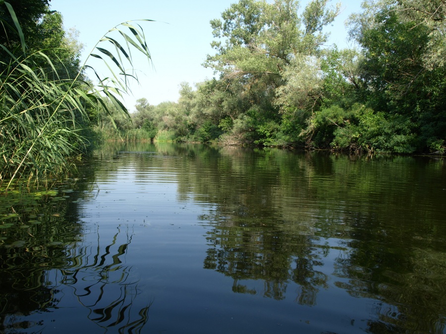 Река Тихий Дон - Фото №7